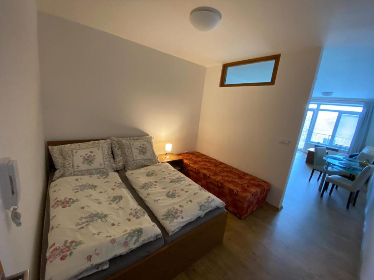 Lipno Klidne Centrum Apartment *